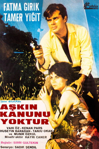 Aşkın Kanunu movie poster