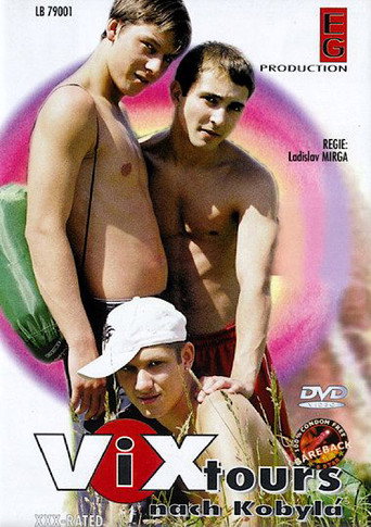 Vix-Tours nach Kobylá movie poster