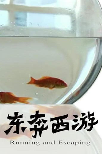 Running and Escaping movie poster