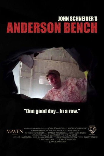 Anderson Bench movie poster