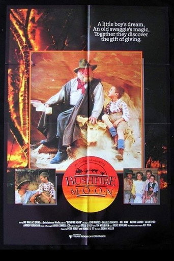 The Christmas Visitor movie poster