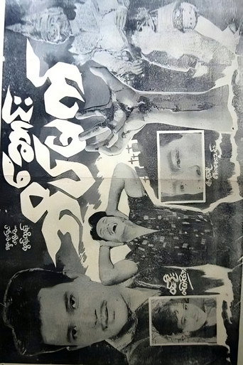 Death is a Night movie poster