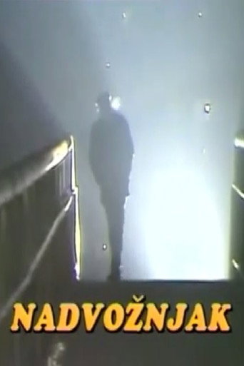 The Overpass movie poster