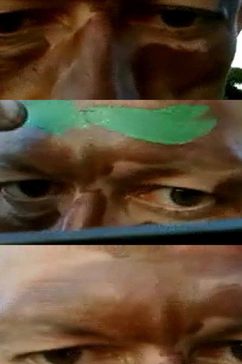 Camouflage Self-Portrait movie poster
