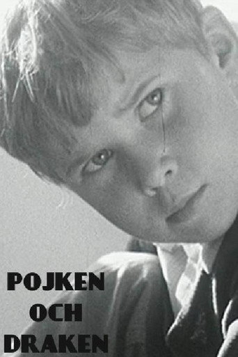 The Boy and the Kite movie poster