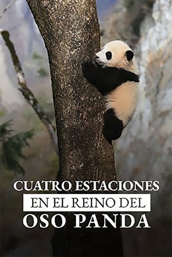 Four Seasons in the giant Panda’s kingdom movie poster