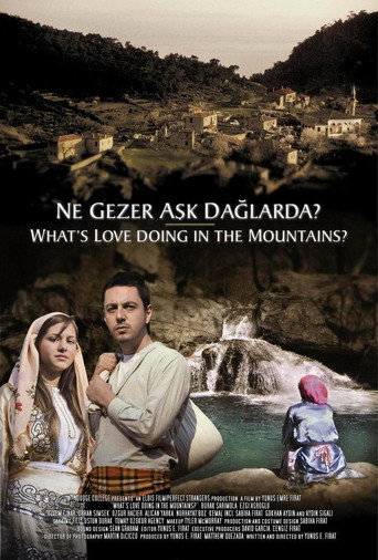 Ne Gezer Aşk Dağlarda? movie poster