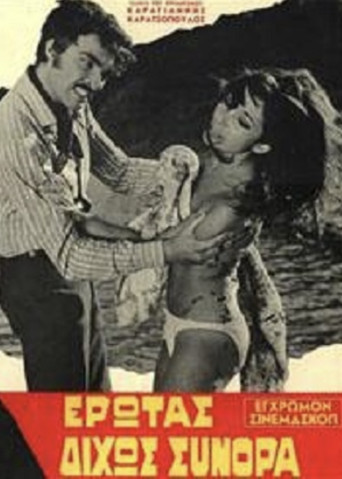 Love without Borders movie poster