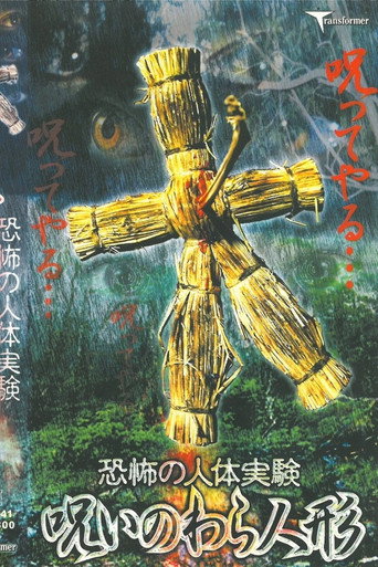 Terrifying Human Experiment: Cursed Straw Doll movie poster