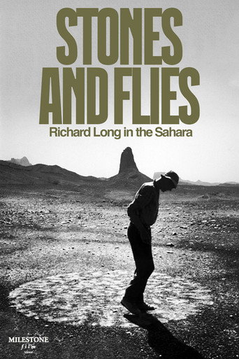 Stones and Flies: Richard Long in the Sahara movie poster