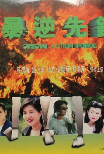 Special Action Force movie poster