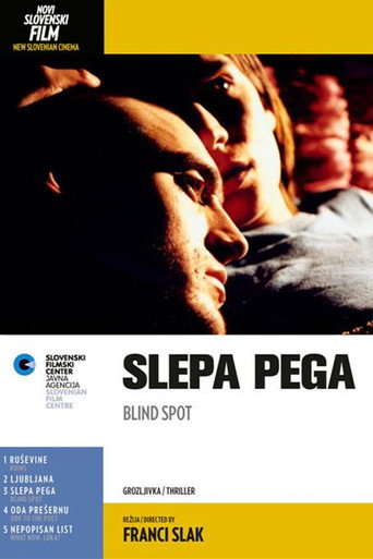 Blind Spot movie poster