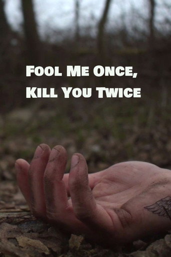 Fool Me Once, Kill You Twice movie poster