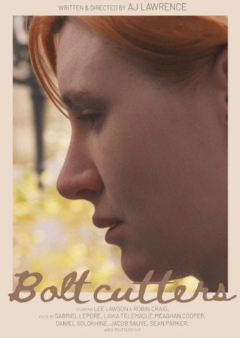 Bolt Cutters movie poster