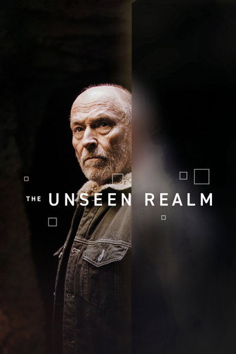 The Unseen Realm movie poster