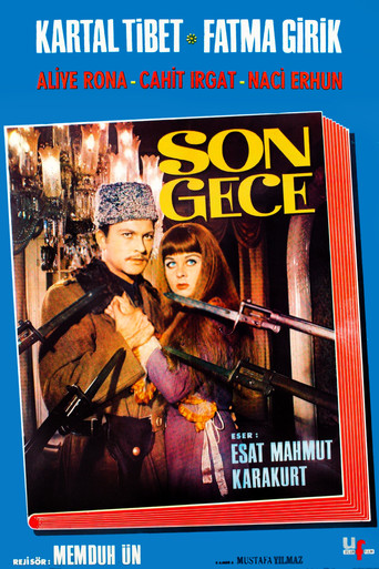 Son Gece movie poster