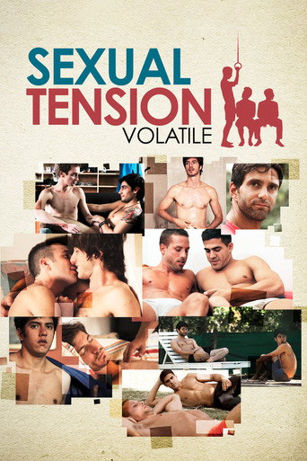 Sexual Tension: Volatile movie poster