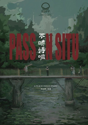 Pass in Situ movie poster