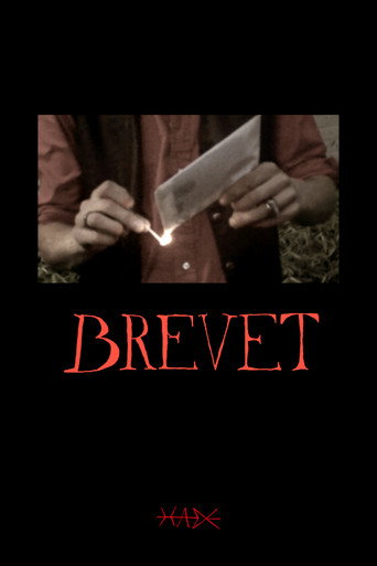 The Letter movie poster