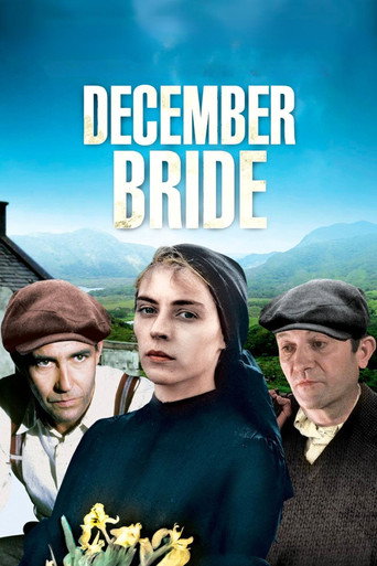 December Bride movie poster