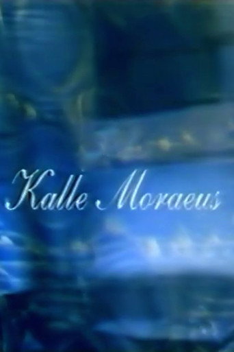 Spelman, musiker, artist - Kalle Moraeus movie poster