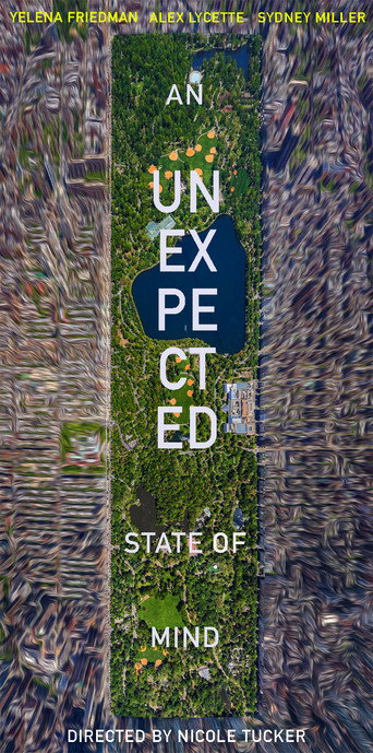 An Unexpected State of Mind movie poster