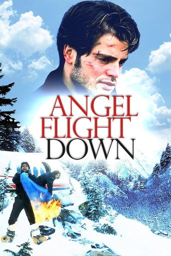 Angel Flight Down movie poster