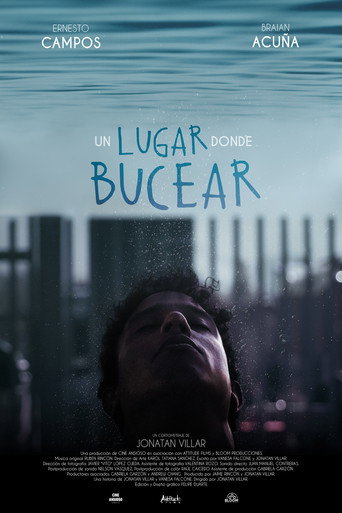 A Place to Dive movie poster