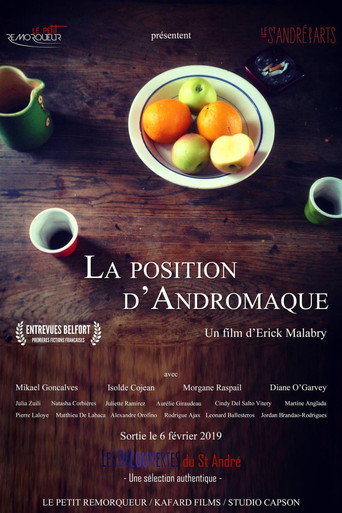 La Position d'Andromaque movie poster