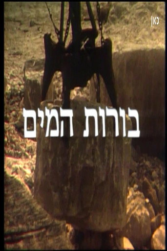 To the Water Pits (El Borot Hamaim) movie poster