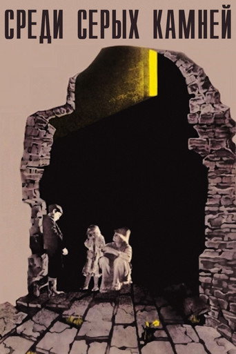 Among Grey Stones movie poster