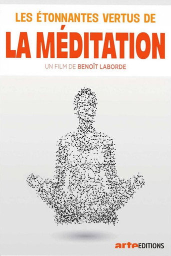 Les étonnantes vertus de la méditation movie poster