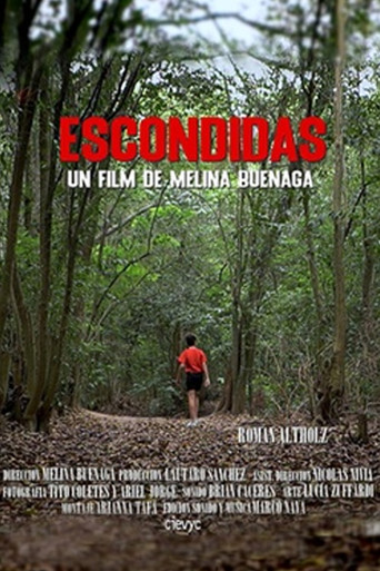 Escondidas movie poster