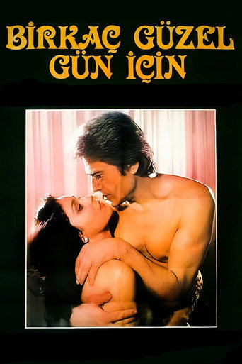 Birkaç Güzel Gün İçin movie poster