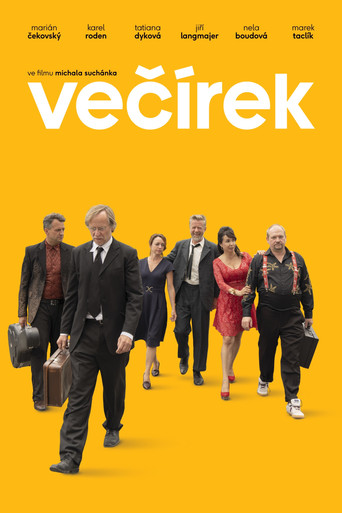 Party movie poster