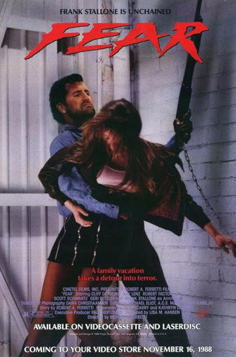 Fear movie poster