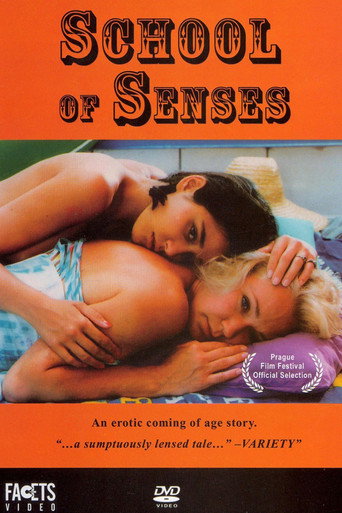 School of Senses movie poster