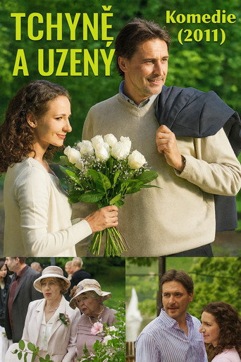 Tchyně a uzený movie poster