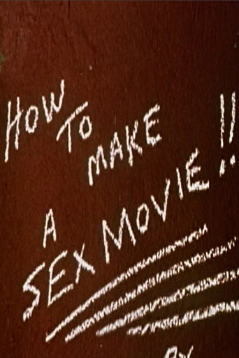 How to Make a Sex Movie movie poster