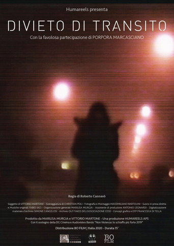 Forbidden Transit movie poster
