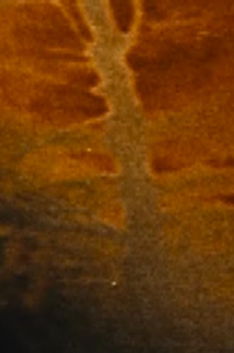 The Devastated Land movie poster