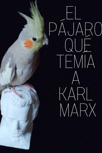 El pájaro que temía a Karl Marx movie poster