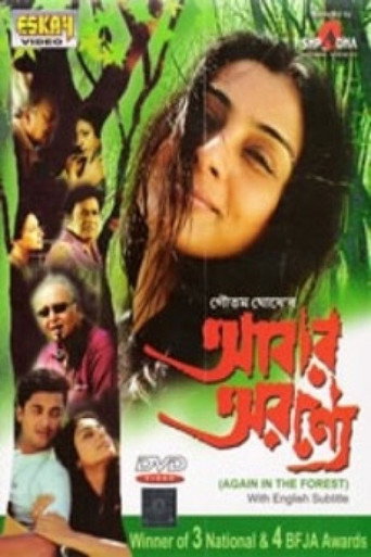 In the Forest... Again movie poster