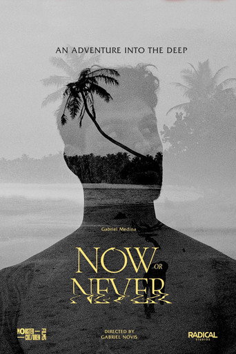 Now or Never movie poster