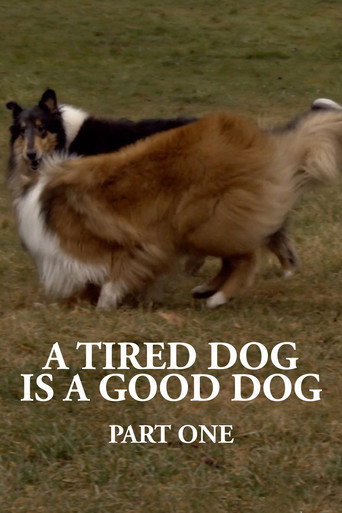 A Tired Dog is a Good Dog, Part One movie poster