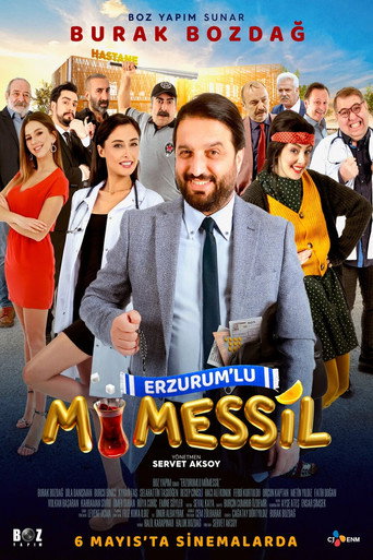Erzurumlu Mümessil movie poster