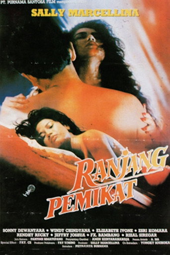 Alluring Bed movie poster