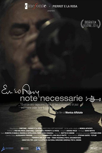 Note necessarie movie poster