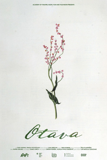 Otava movie poster