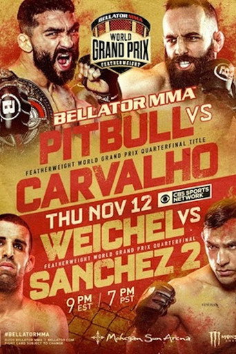 Bellator 252: Pitbull vs. Carvalho movie poster